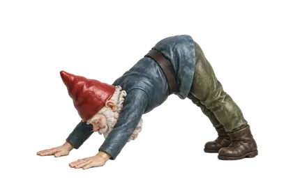 Yoga illustration: Downward-Facing Dog — Adho Mukha Śvānāsana